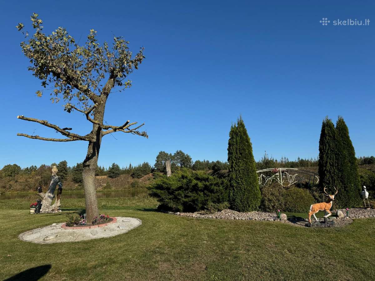 Parduodamas Išskirtinis 60 Arų Sklypas Prie Neries - nuotraukos Nr. 12