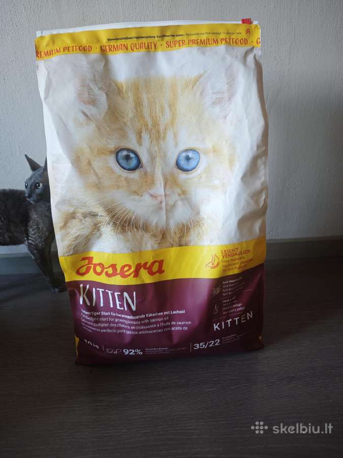 Dovanoju josera kitten maistą