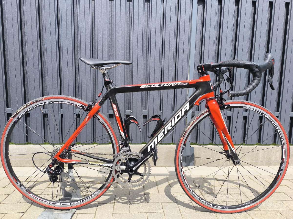 Sportinis Merida scultura EVO 905