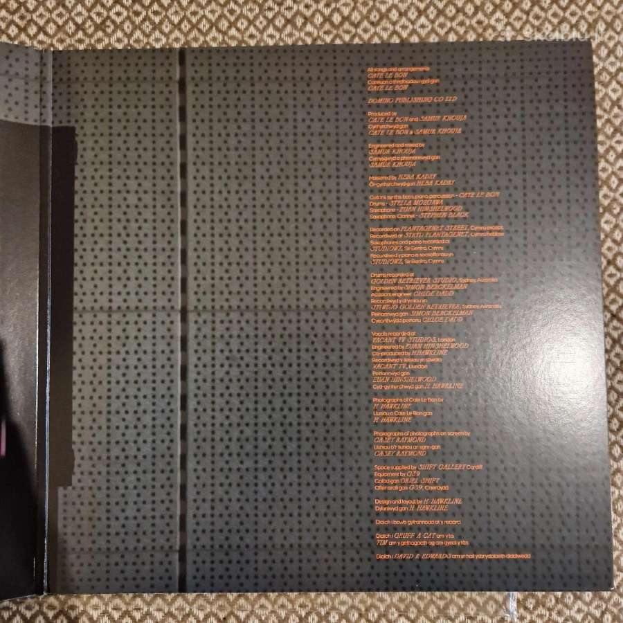 Cate Le Bon – Pompeii / Vinyl Lp su parašu - nuotraukos Nr. 6