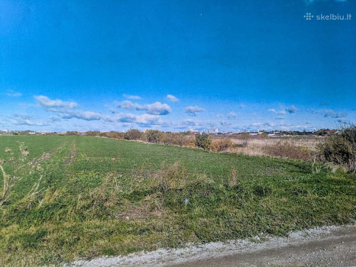 Žemės ūkio sklypai Vadoklių ir Pamolainių g.