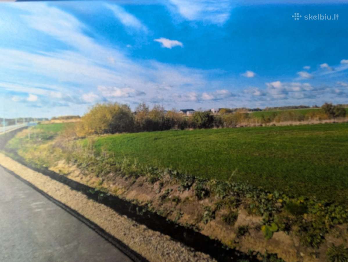 Žemės ūkio sklypai Vadoklių ir Pamolainių g. - nuotraukos Nr. 4