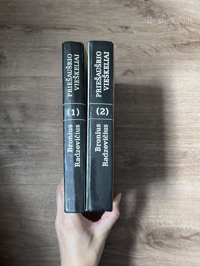 Bronius Radzevičius “Priešaušrio vieškeliai - nuotraukos Nr. 3