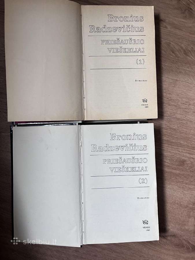 Bronius Radzevičius “Priešaušrio vieškeliai - nuotraukos Nr. 4