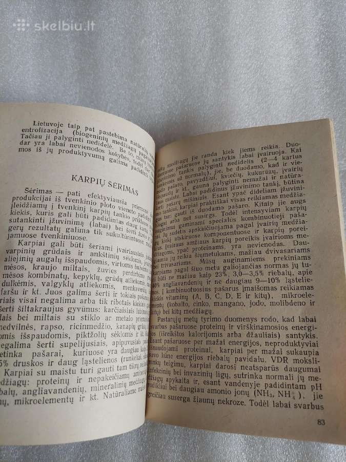 Karpis - nuotraukos Nr. 5