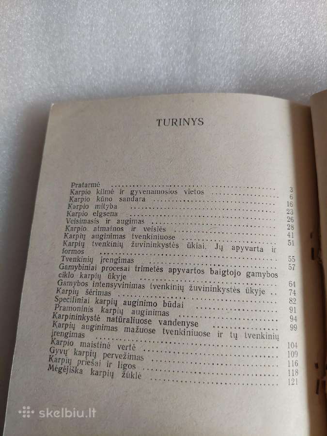 Karpis - nuotraukos Nr. 6
