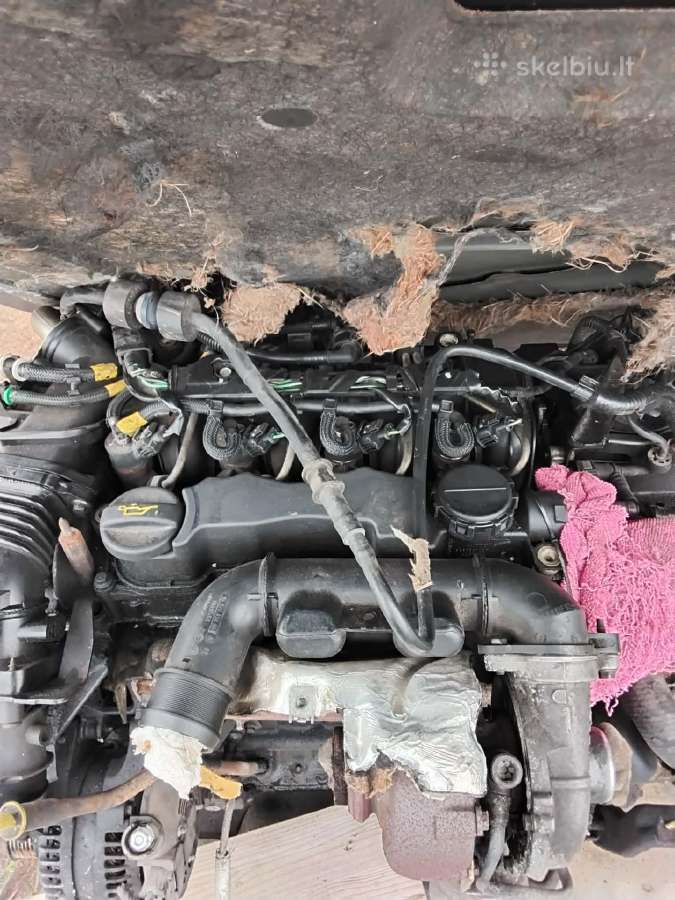 Mazda 3, 80 kw 2006 m. Dalys - nuotraukos Nr. 8