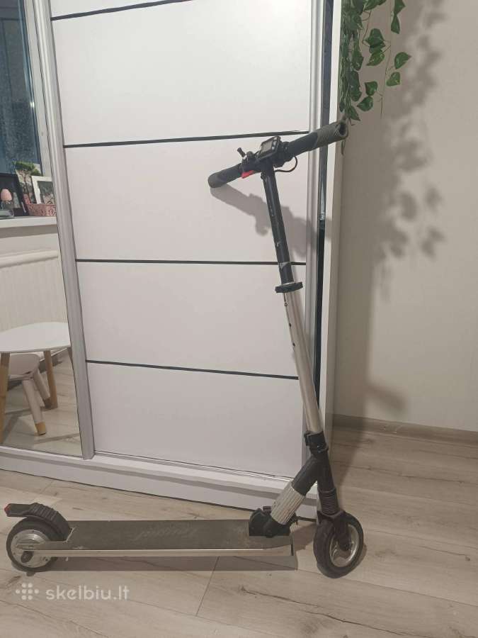 Paspirtukas
