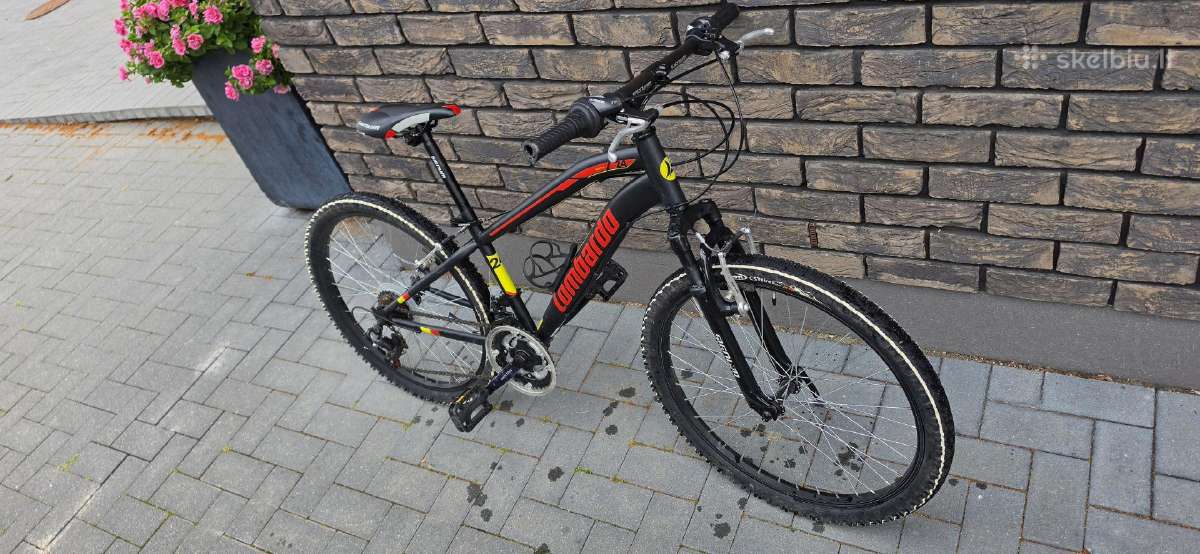 Parduodamas kalnų dviratis vaikams Lombardo 24