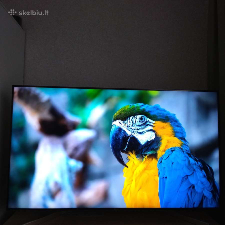 Sony 55xf9005