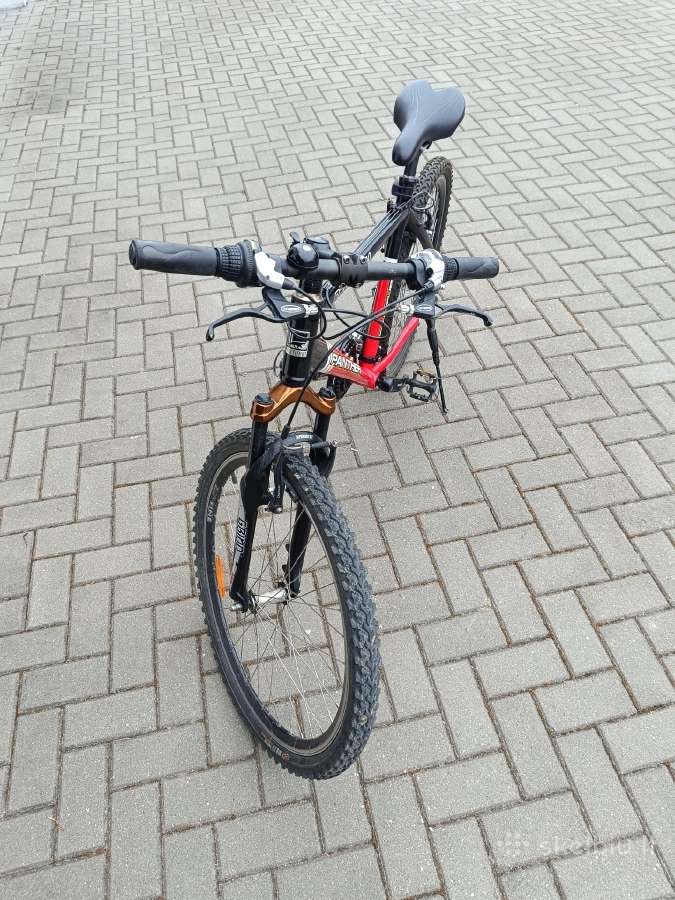 Dviratis Panther Pro-xr111 - nuotraukos Nr. 3