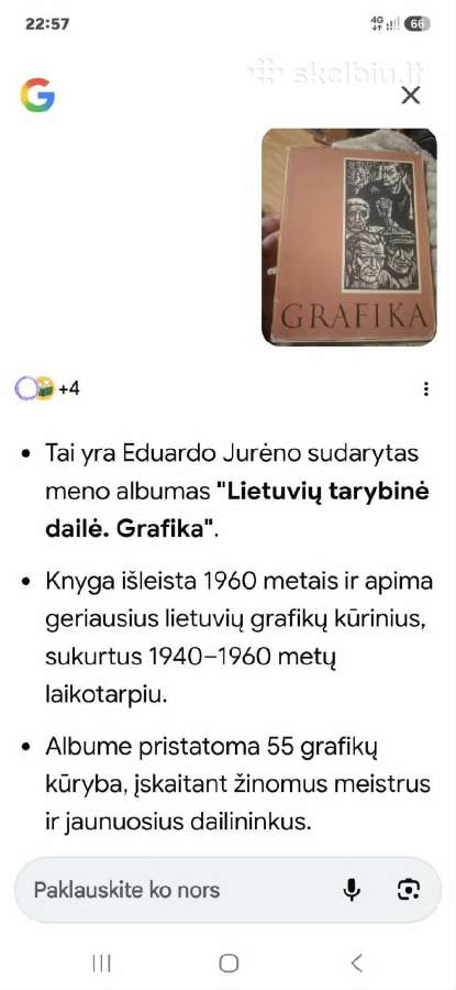 Grafika - nuotraukos Nr. 4