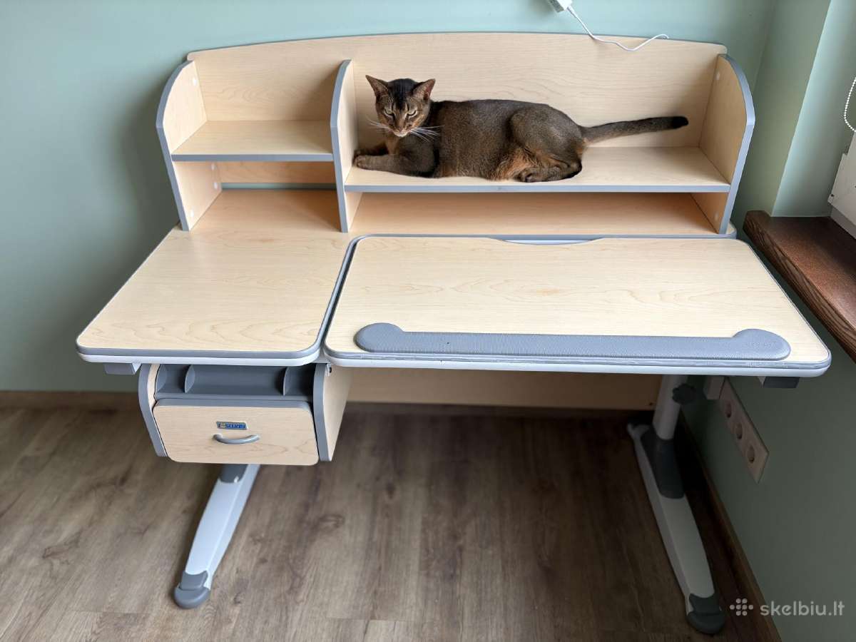 Ergonomiškas stalas Istudy augantis su vaiku