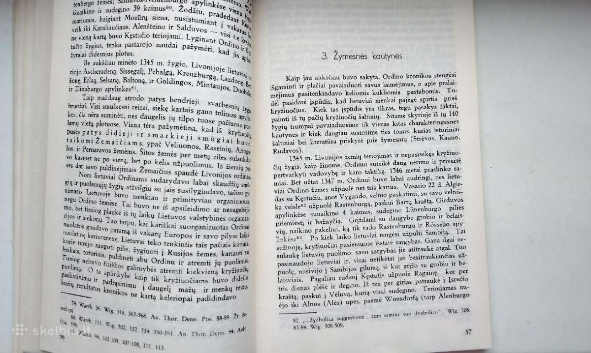 Gediminas, Iš kur atėjome, Kęstutis - nuotraukos Nr. 35