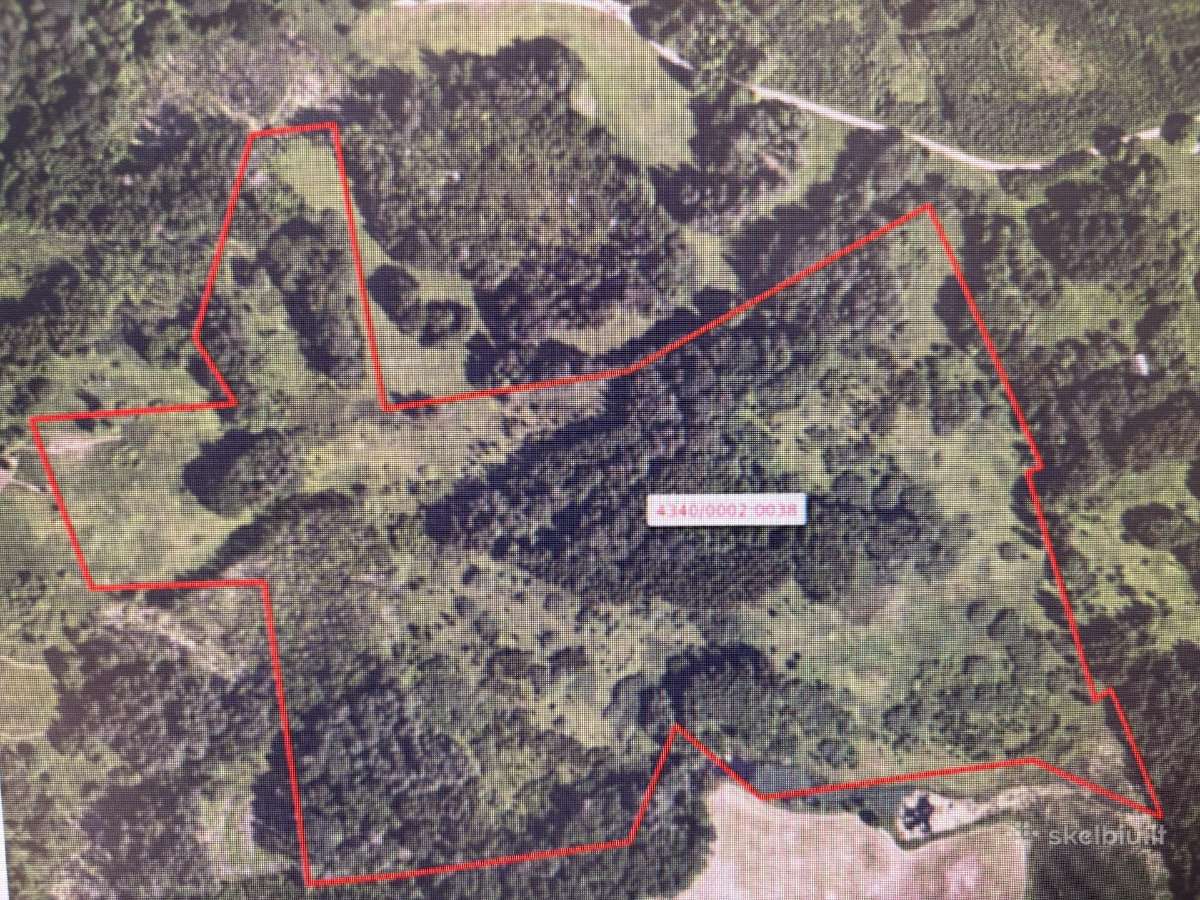 Parduodu 12.31ha žemės sklypą, 4,54 iš jų miškas - nuotraukos Nr. 2