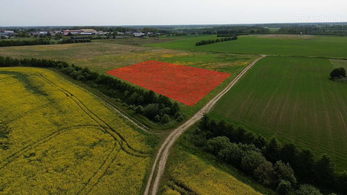 Investicija. Sklypas 51 a. Kretingalėje - nuotraukos Nr. 2