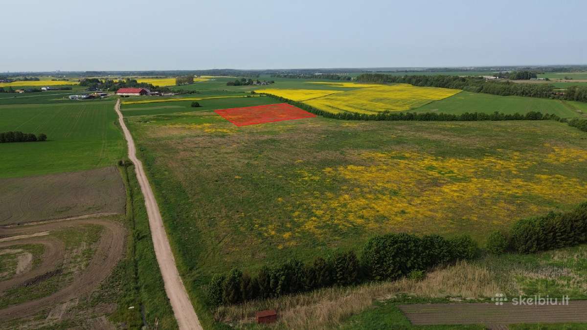 Investicija. Sklypas 51 a. Kretingalėje - nuotraukos Nr. 3