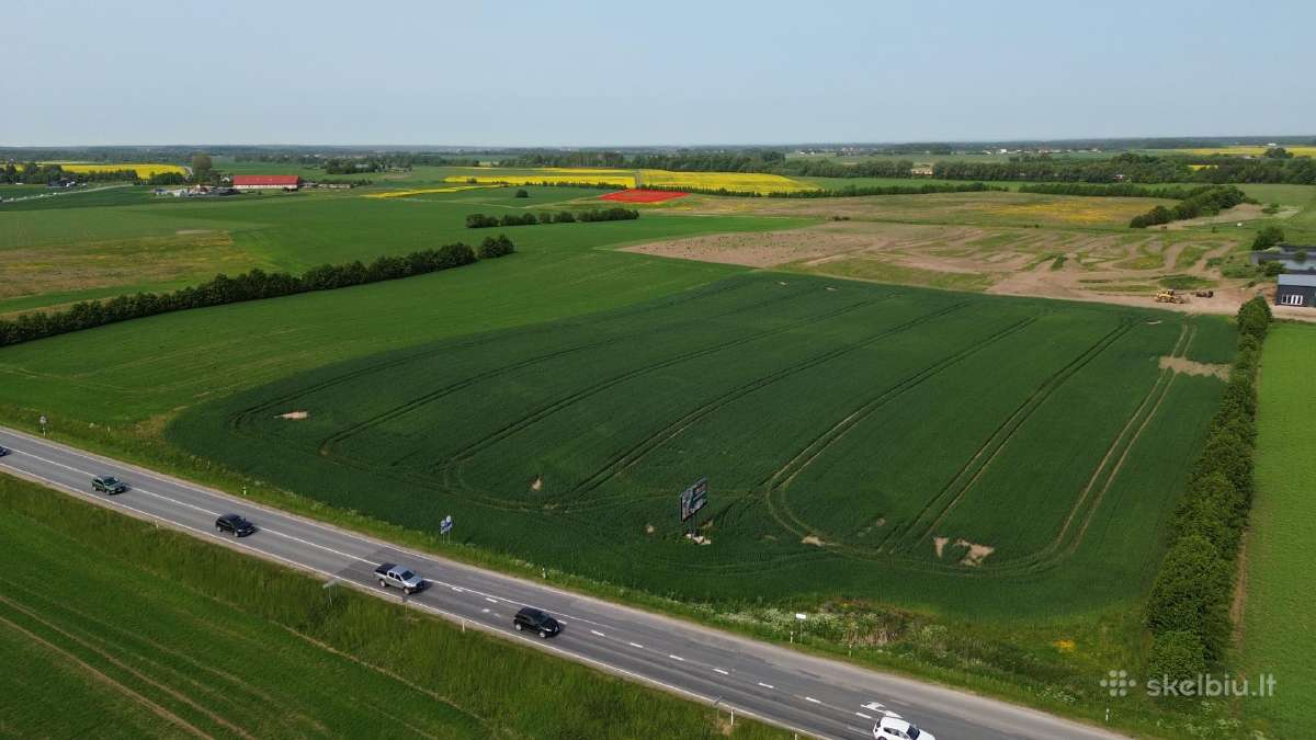 Investicija. Sklypas 51 a. Kretingalėje - nuotraukos Nr. 4