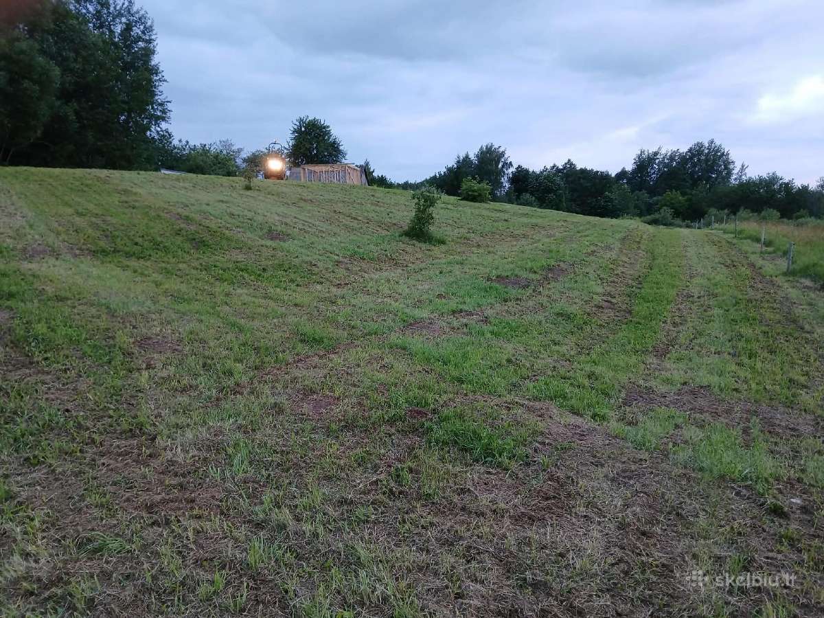 Žolės pjovimas 5€ aras sklypų tvarkymas - nuotraukos Nr. 8