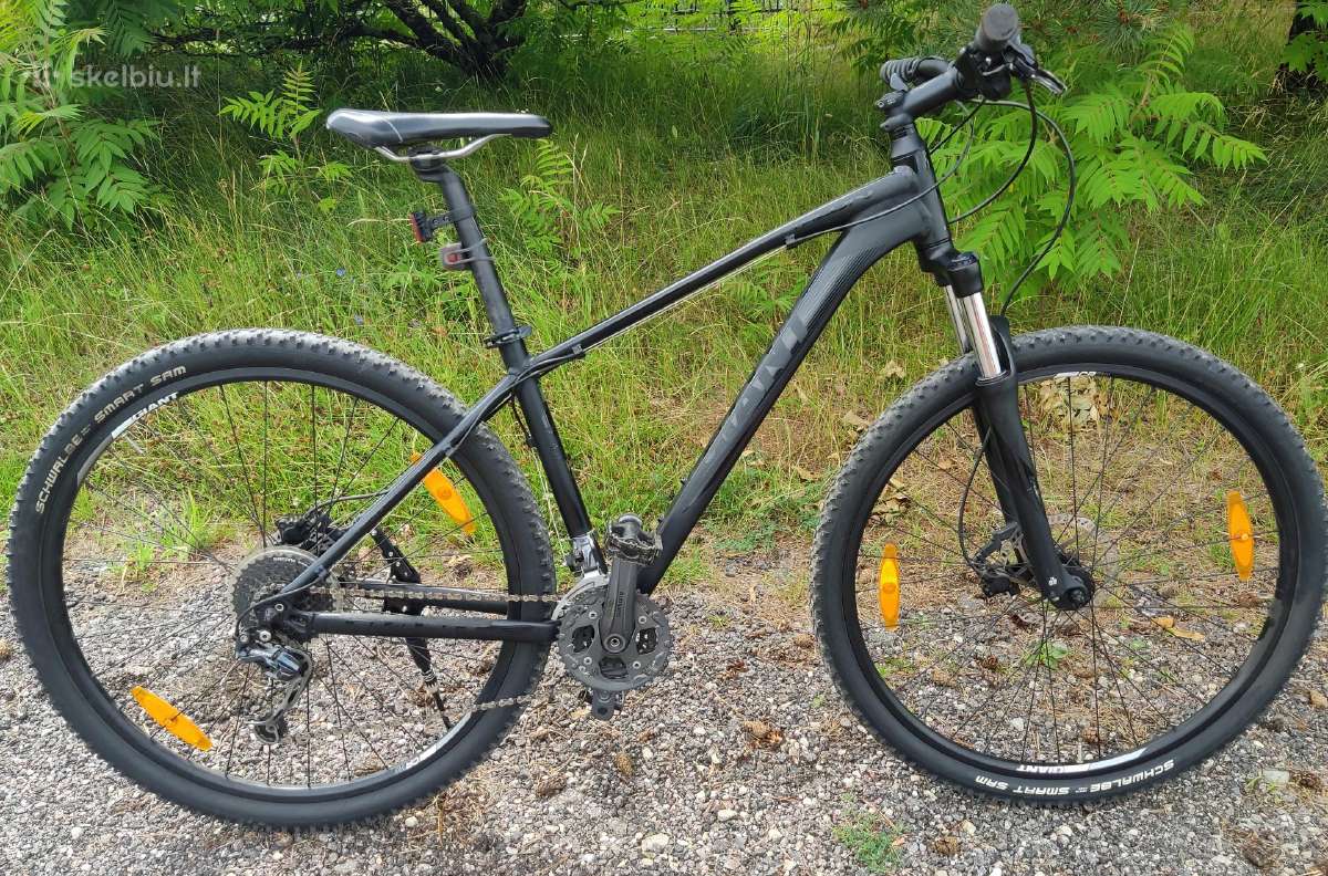 Giant talon twenty nine series