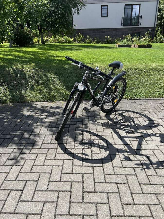 Mc Kenzie sportline