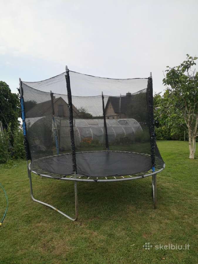 Batutas