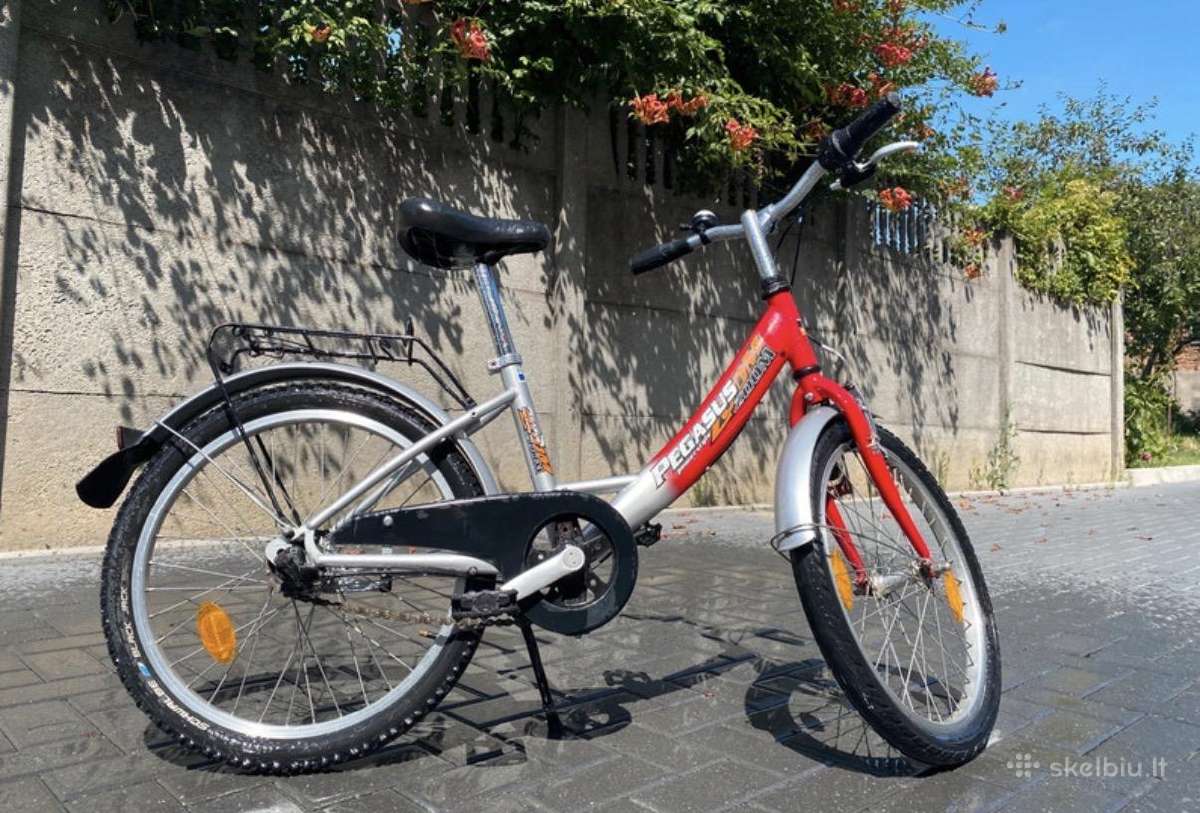 Vaikiškas dviratis Pegasus 20" su Nexus 3 pavaromi
