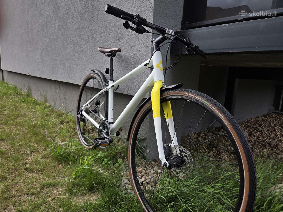 Gekko Flow XT