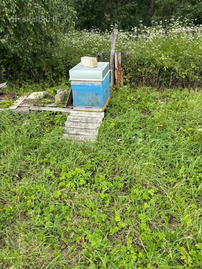 Parduodami aviliai su pilnu komplektu ir bitėm - nuotraukos Nr. 2