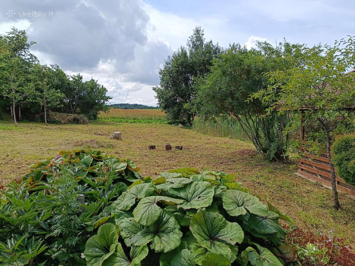Parduodamas namas Alsėdžiuose - nuotraukos Nr. 17