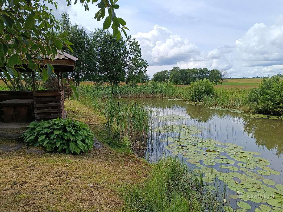 Parduodamas namas Alsėdžiuose - nuotraukos Nr. 18