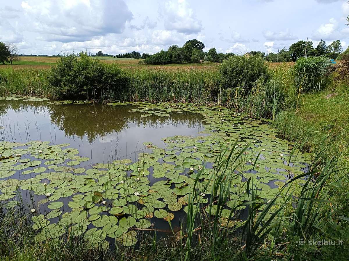 Parduodamas namas Alsėdžiuose - nuotraukos Nr. 19