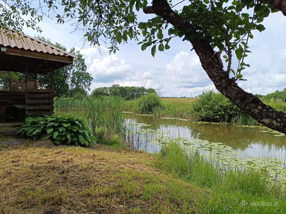 Parduodamas namas Alsėdžiuose - nuotraukos Nr. 20