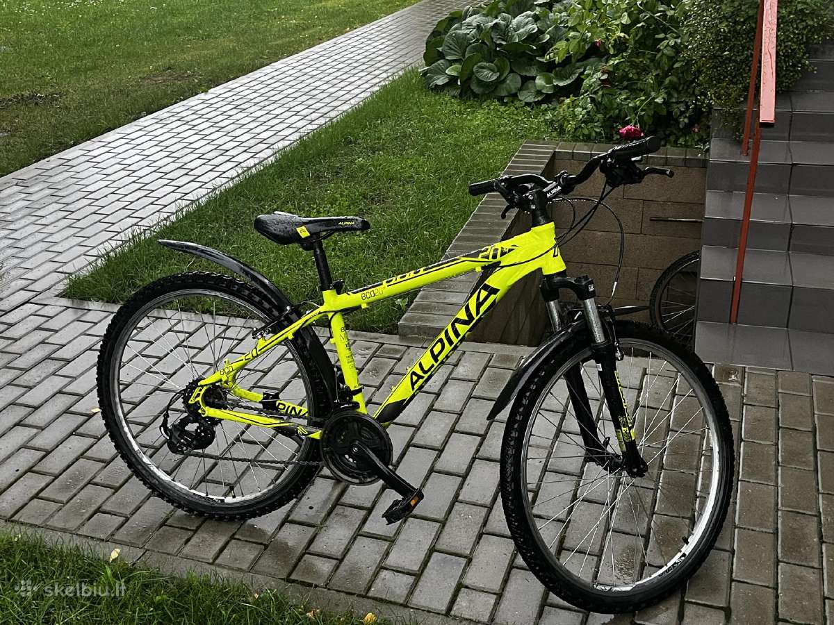 Dviratis Alpina Eco - nuotraukos Nr. 2