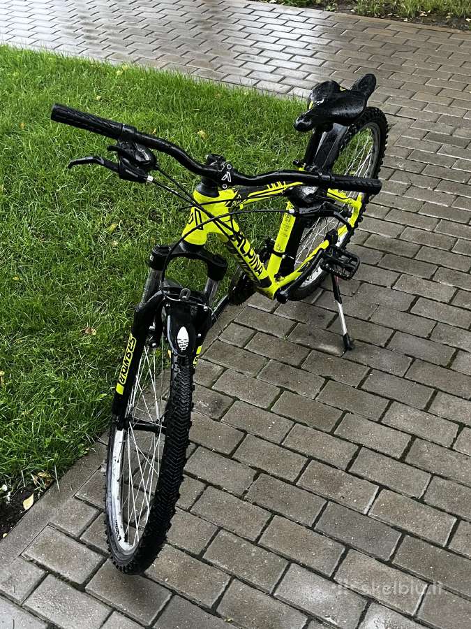Dviratis Alpina Eco - nuotraukos Nr. 3