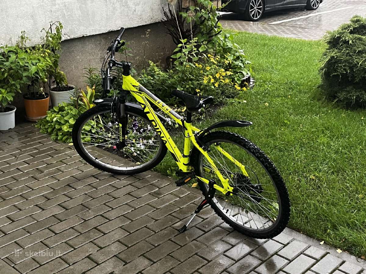 Dviratis Alpina Eco - nuotraukos Nr. 4