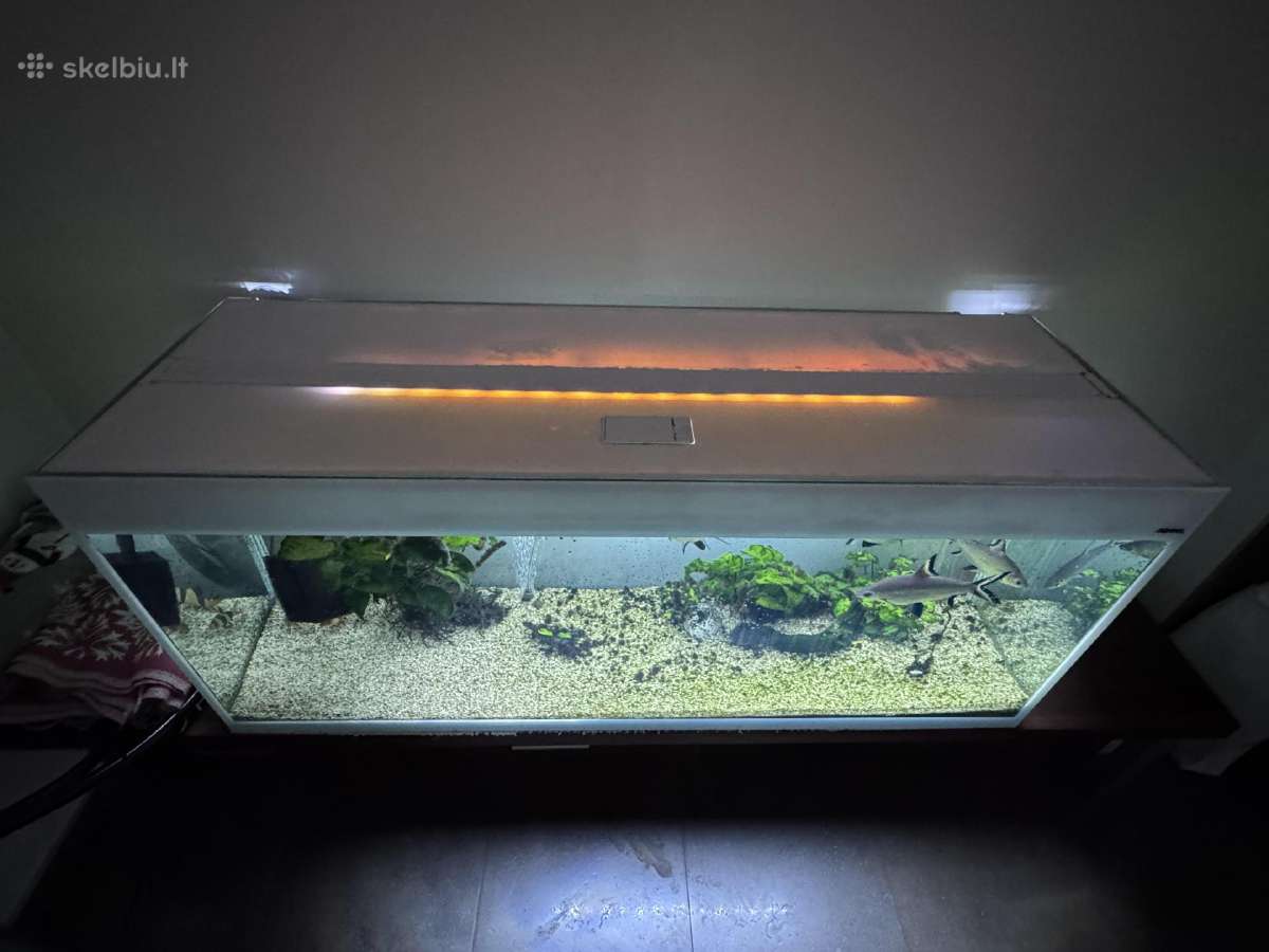 Didelis akvariumas 470l su priedais ir žuvimis - nuotraukos Nr. 2