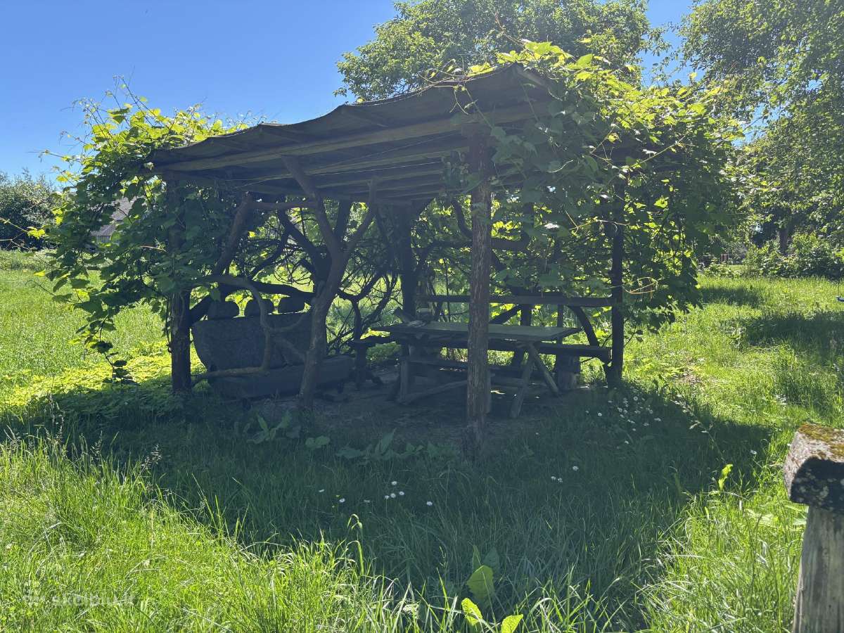 Parduodama sodyba su 37,4 arų sklypu. - nuotraukos Nr. 22