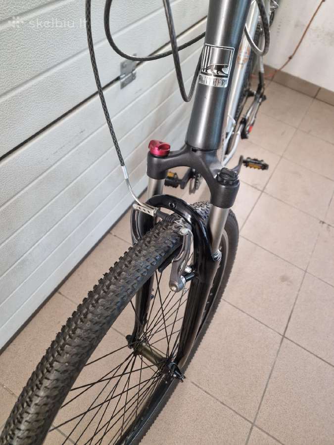 Panther 61cm 29er - nuotraukos Nr. 2