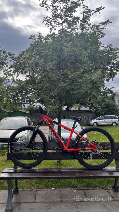 Rockrider st900 vaikiškas dviratis - nuotraukos Nr. 2