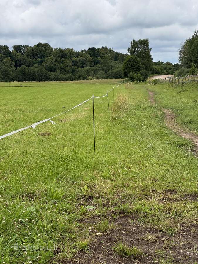 Stiklo pluošto kuoliukai elektriniam piemeniui - nuotraukos Nr. 25