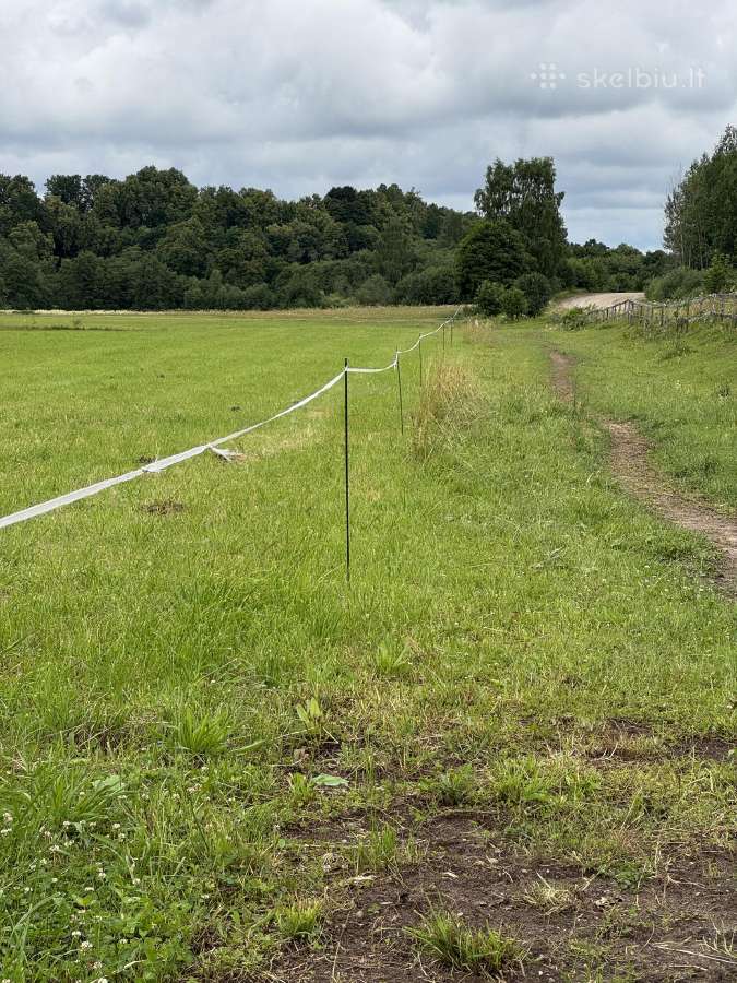 Stiklo pluošto kuoliukai elektriniam piemeniui - nuotraukos Nr. 26