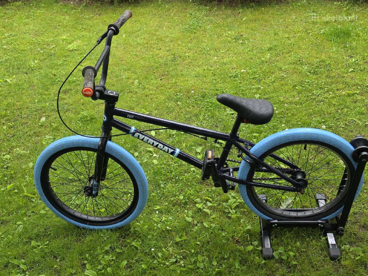 BMX Everyday Cult