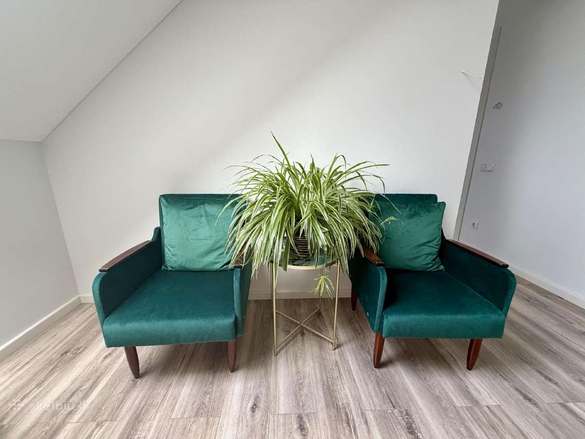 Elegantiški veliūriniai foteliai