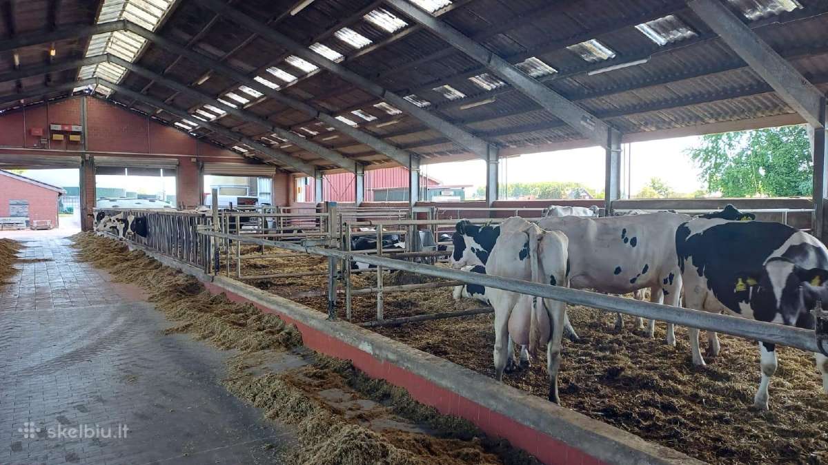 Skubiai Reikalinga Darbui Vokietijojedarbui
