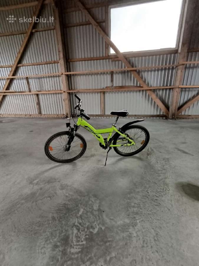 Vaikiškas pegasus dviratis