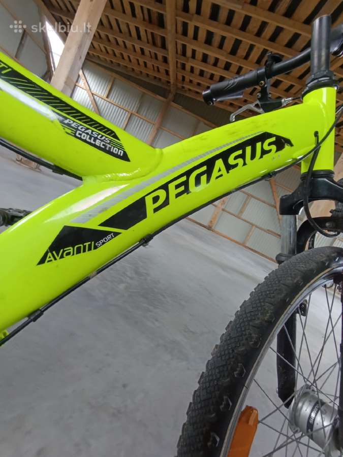 Vaikiškas pegasus dviratis - nuotraukos Nr. 9