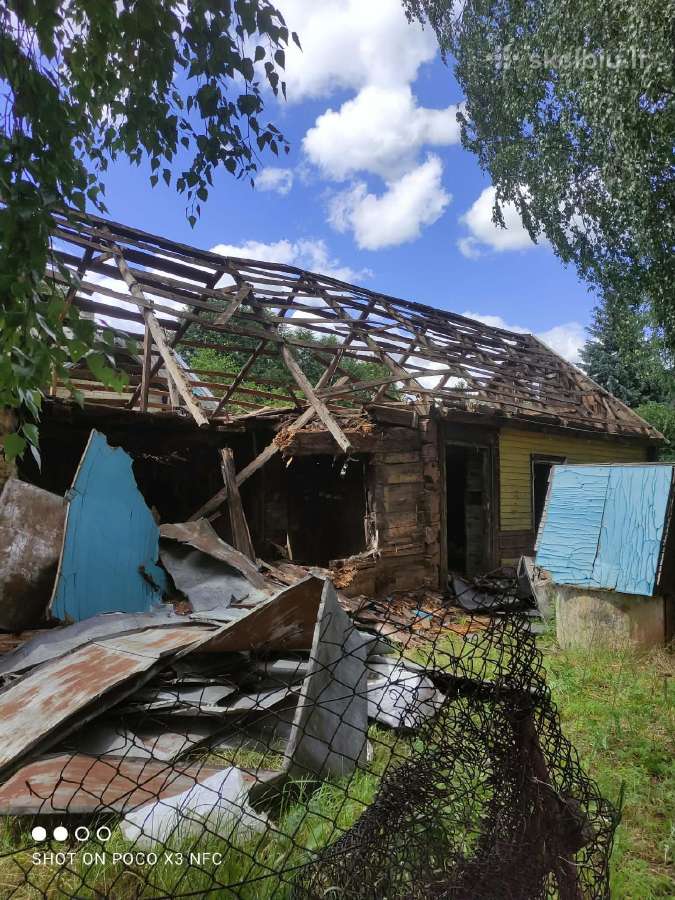 Dovanoju medieną - nuotraukos Nr. 2