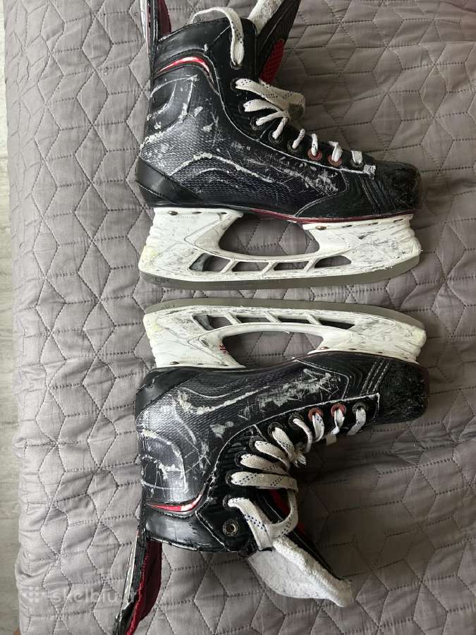 Bauer pačiužos 40,5 (Us 6) - nuotraukos Nr. 2