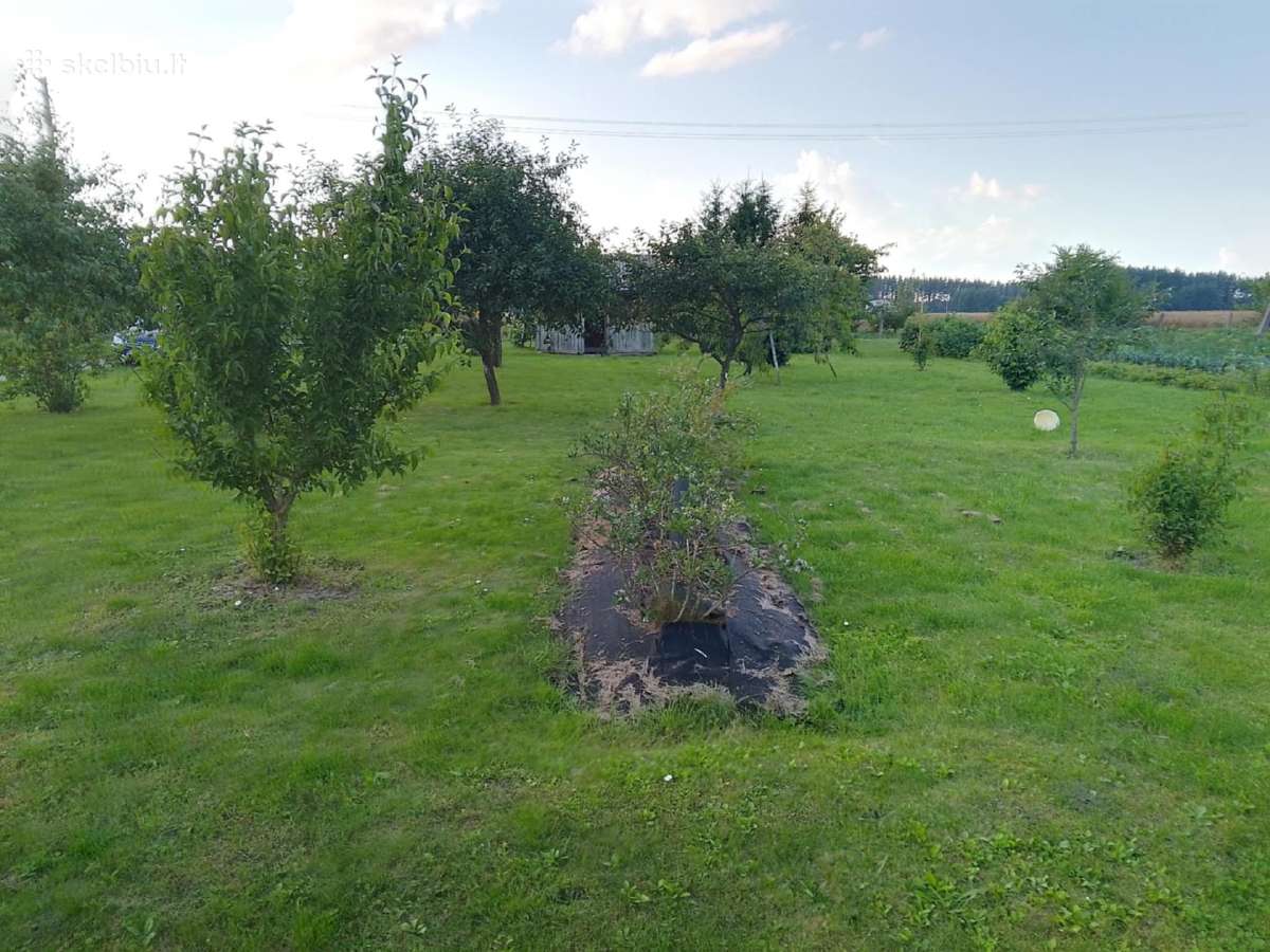 Parduodami 2 esantys greta sodo sklypai - nuotraukos Nr. 3